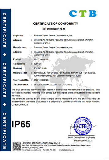IP65