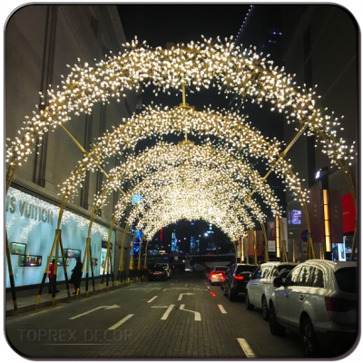 Street 2025 light decoration
